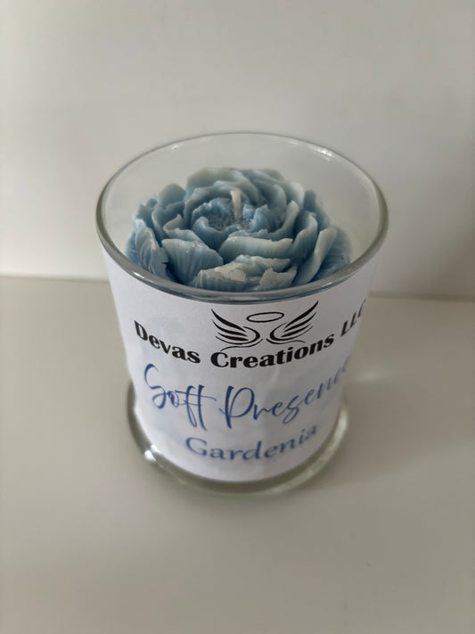 Soft Presence – Gardenia